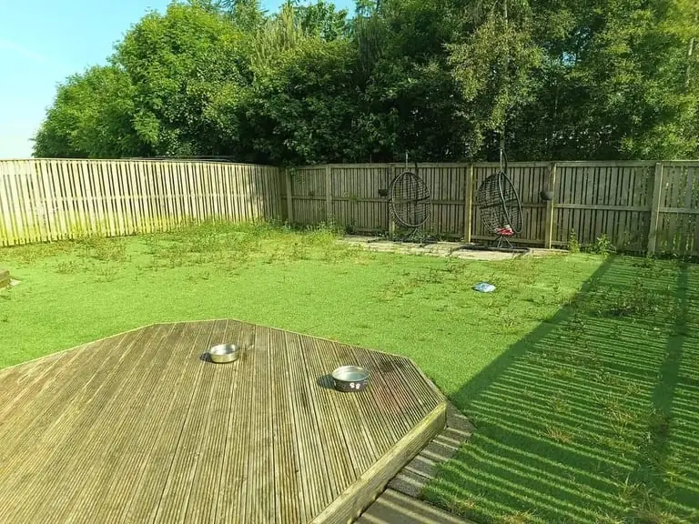 Artificial lawn beside a timber deck with weeds and flattened, faded patches
