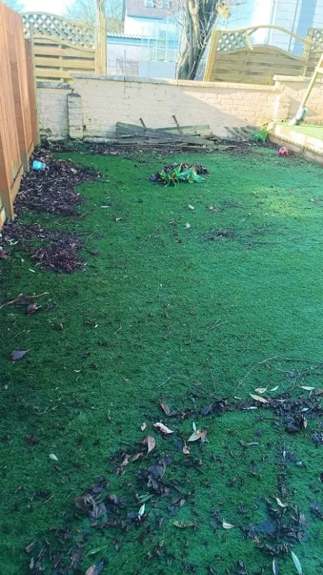 Leaves and garden debris scattered across an artificial lawn before cleaning