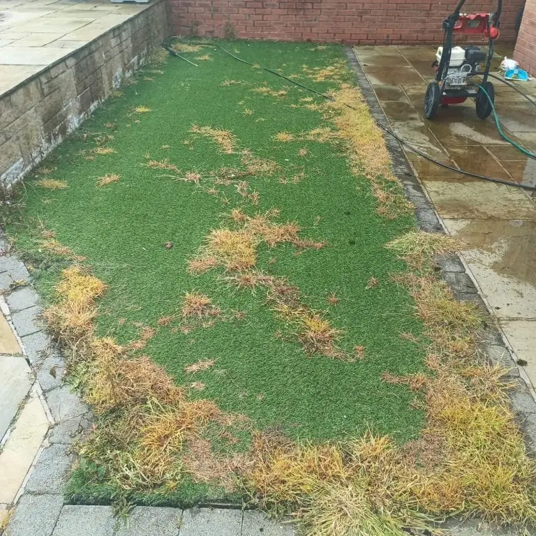 Narrow artificial lawn beside a sandstone patio, its edges overgrown with dead weeds and moss