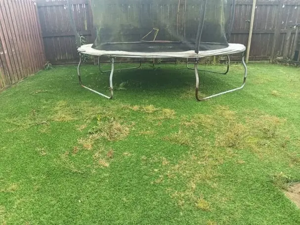 Artificial grass under a trampoline, patchy and brown with dead growth