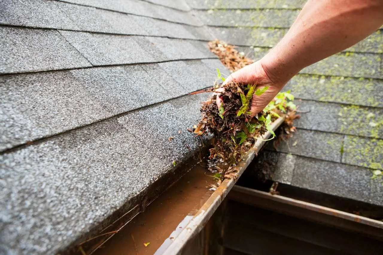 Hand clearing leaves, moss and debris from a blocked roof gutter